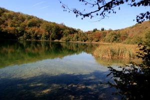 découverte du lac d'Ambléon