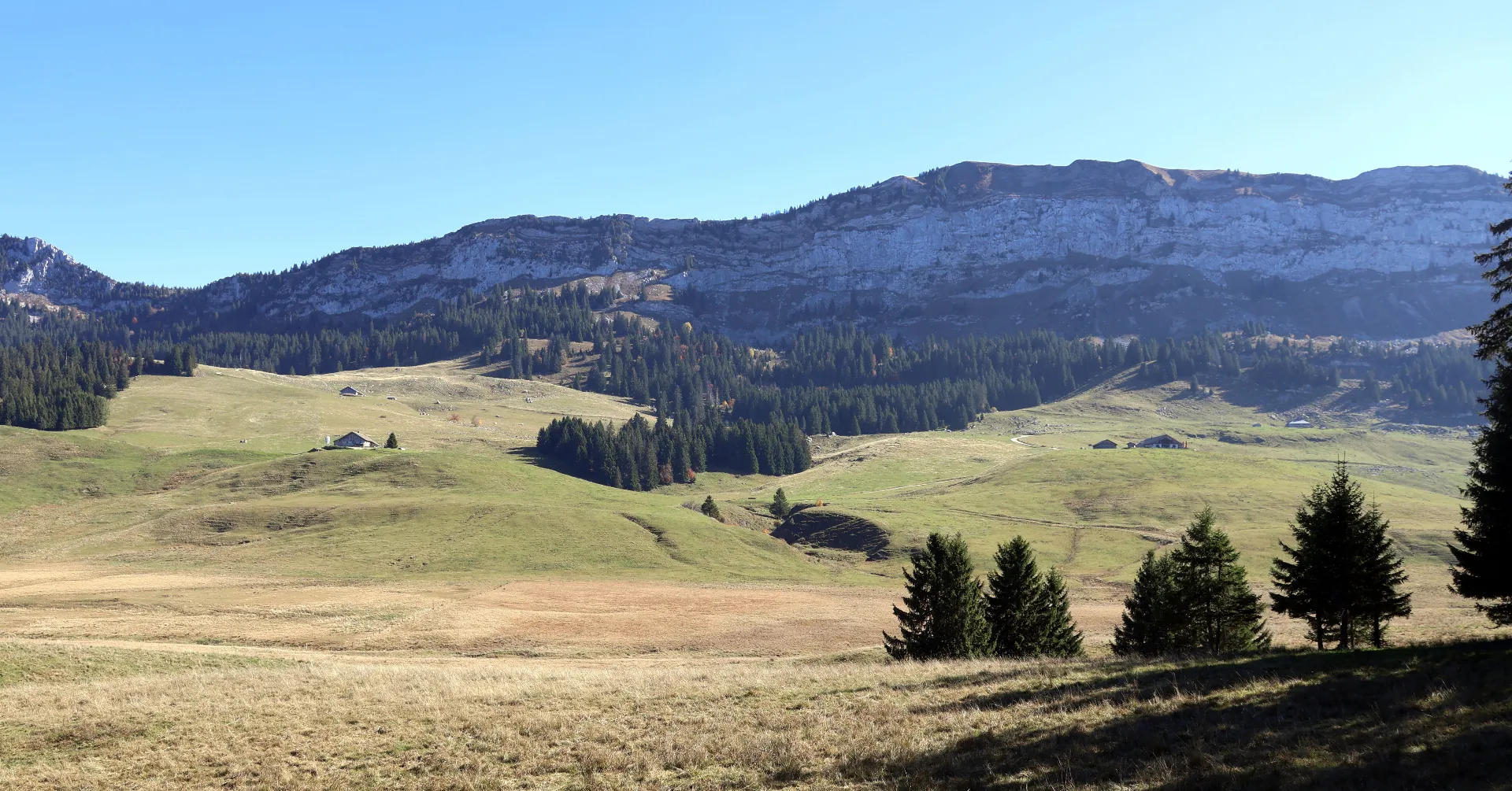 Paysage de montagne sur le Plateau des Glières lors d’une randonnée en Savoie.