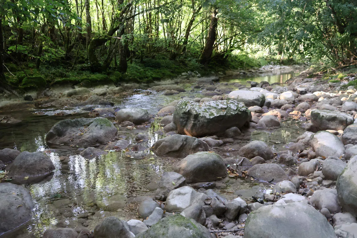 Rivière Le Séran au Camping Le Vaugrais : un lieu rafraîchissant en été, ombragé et idéal pour se détendre